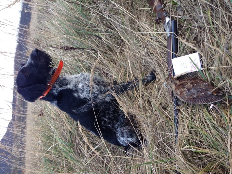 Chasse au naturel